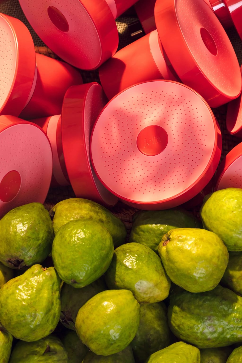 ראש המקלחת המסנן